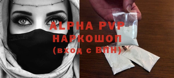 стафф Бородино
