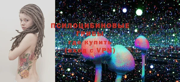 дмт Верея