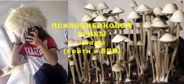 стафф Бородино