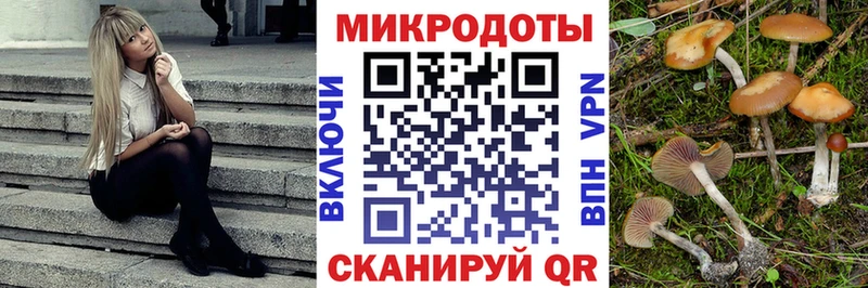 Купить  Гурьевск  Псилоцибиновые грибы мухоморы 