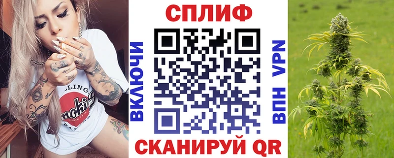 Конопля конопля  Купить закладки  Гурьевск 